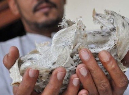 Meski Berpotensi Tingkatkan PAD, Industri Walet di PPU Berangsur Surut