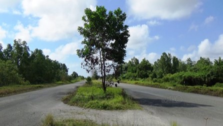 DPRD PPU Pastikan Dukungan Penuh untuk Pengembangan Coastal Road